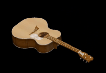 solidworks guitar