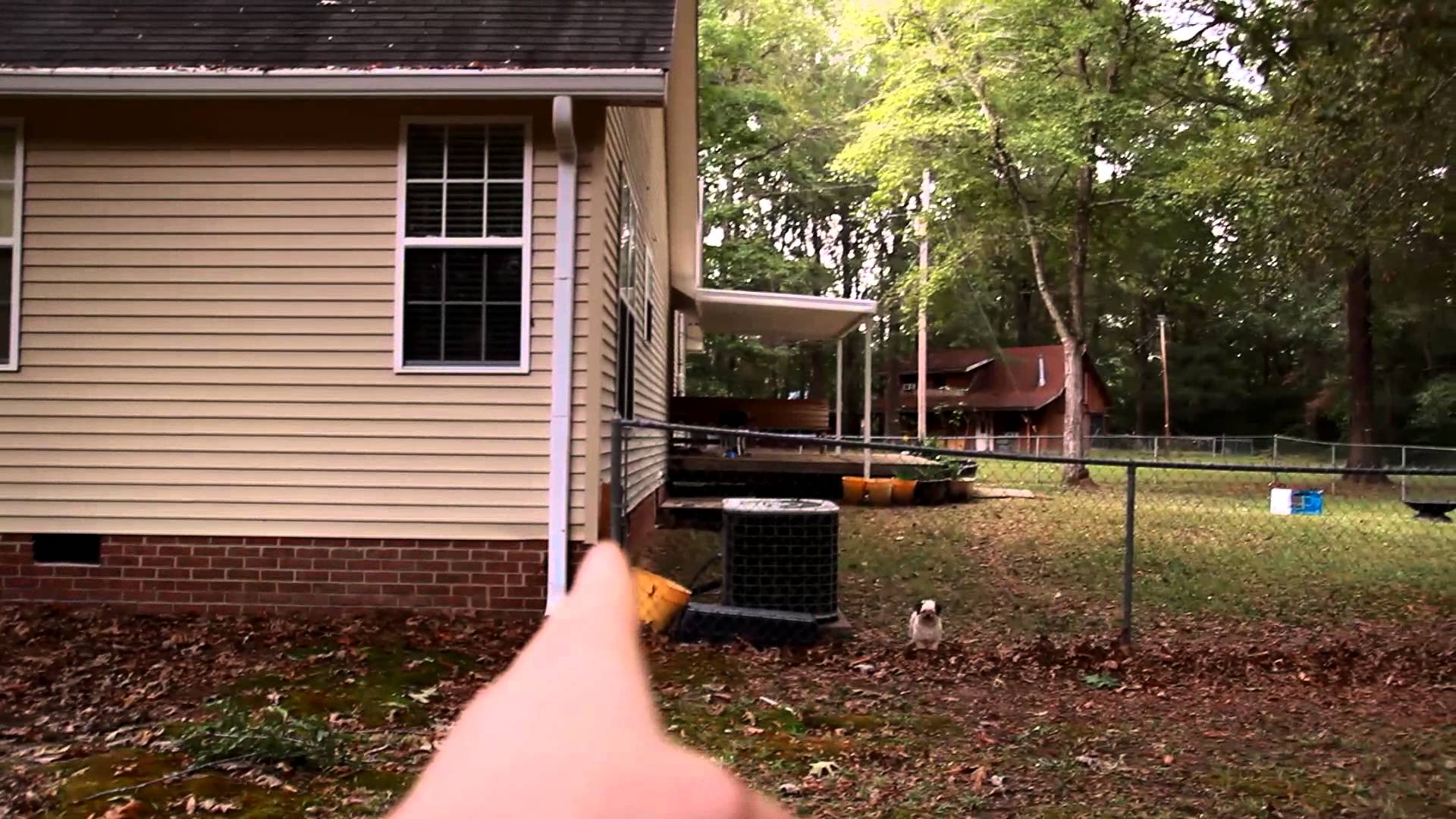 Vlog #12: As Requested – A Walk Around My Property