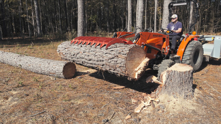 Day 584 – The Biggest Tree and BEST Lumber I’ve Ever Cut