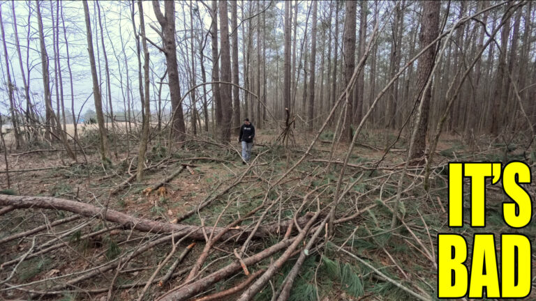 Day 680 – 3 Miles of Destruction | Ice Storm Aftermath