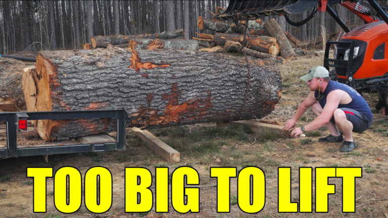 Day 697 – Ice Storm Cleanup & Massive Oak Logs