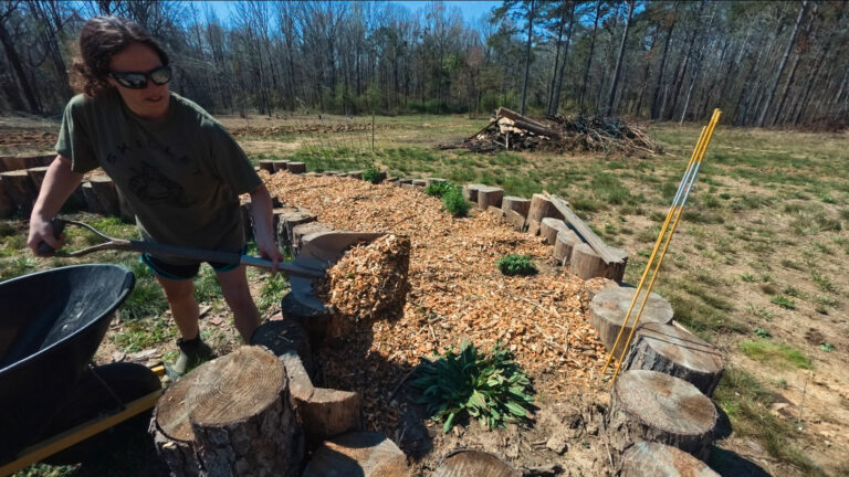 Day 710 Sawmill Oak, Woodchip Garden, Five Pines