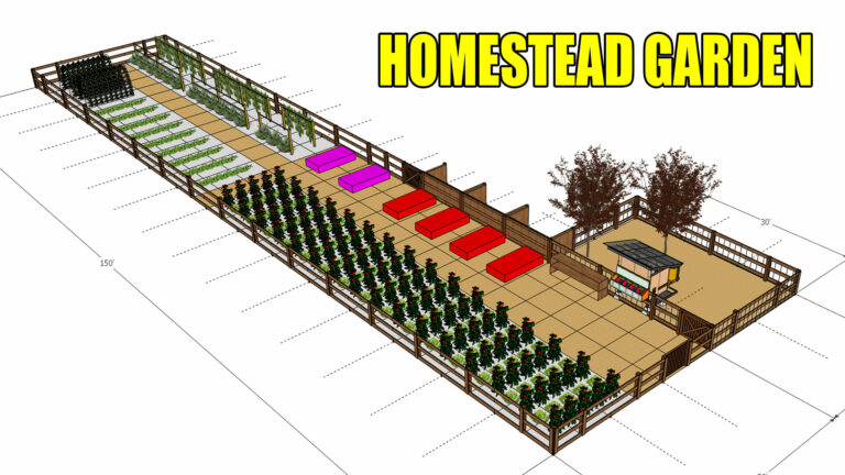 Homestead Garden | Part 1 – Intro