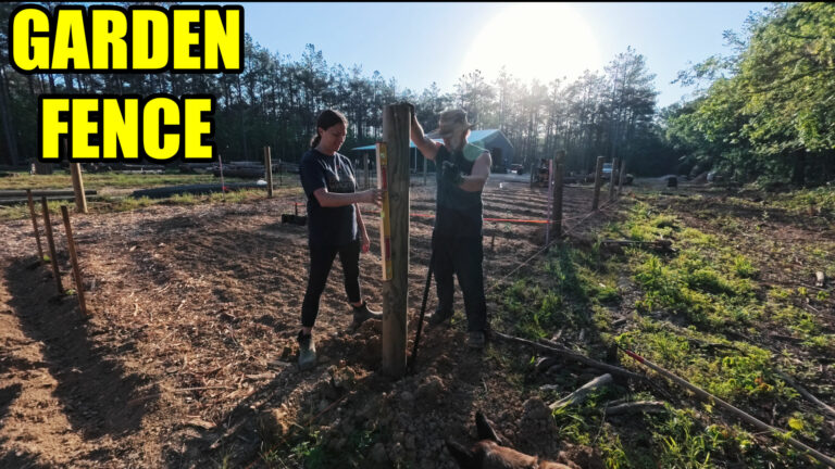 Day 742 – Garden Fence – Homestead Garden | Part 5