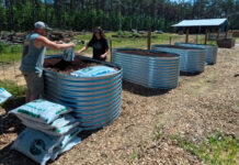 Day 785 – Long Lasting Garden Raised Beds – Homestead Garden | Part 7