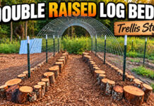 Double Raised Log Beds Trellis Style
